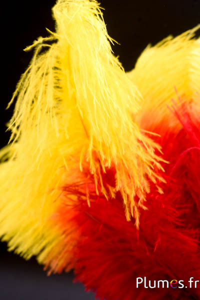 Autruche - 30-40 cm - rouge-jaune